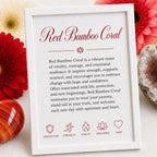 properties for red coral bracelet handmade canada reiki infused sacral chakra jewelry